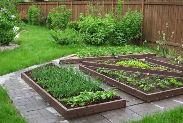 Дизайн сада и огорода своими руками