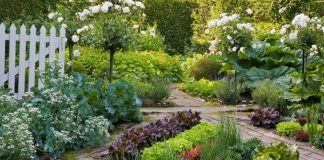 Красивый огород и сад ландшафтный дизайн