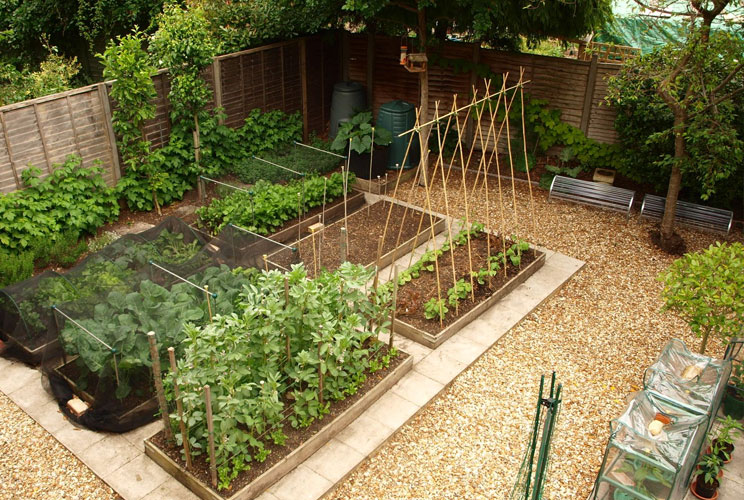 Огород и сад дизайна маленький участок фото