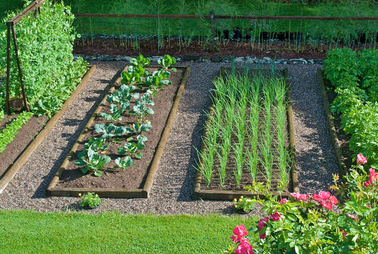 Огород и сад дизайна маленький участок фото