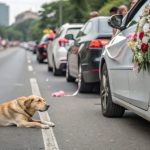 476145958_122136506084553514_8692997828107273718_n